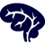 Brain icon representing functional neurology treatment
